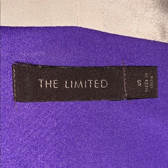 The Limited Purple pleated dress - Picture 4 of 5